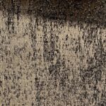 Testa-18000-768x767