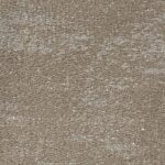 Testa-28501-768x768