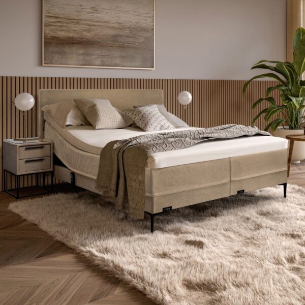 Caresse 4200 Elektrisch