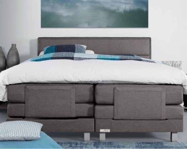 Caresse Platinum 9500 Elektrisch