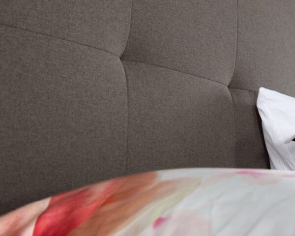 Caresse Platinum 9750 Vlak