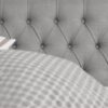 Caresse Platinum 9850 Vlak